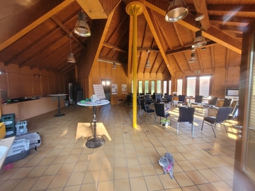 Auf diesem Foto sind die Innenräume des mit hellem Holz verkleideten Pavillons zu sehen. In der Mitte des zeltartigen Raumes befindet sich eine gelbe Stützsäule aus Stahl. Auf der rechten Seite des Fotos ist ein Stuhlkreis aufgebaut. Im vorderen Berei