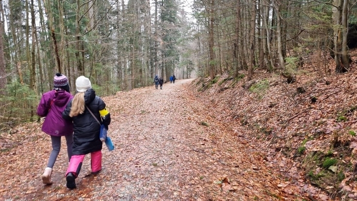 Zwei Mächen gehen auf einem Waldweg spazieren, vorne weiter sind noch andere Schüler:innen.