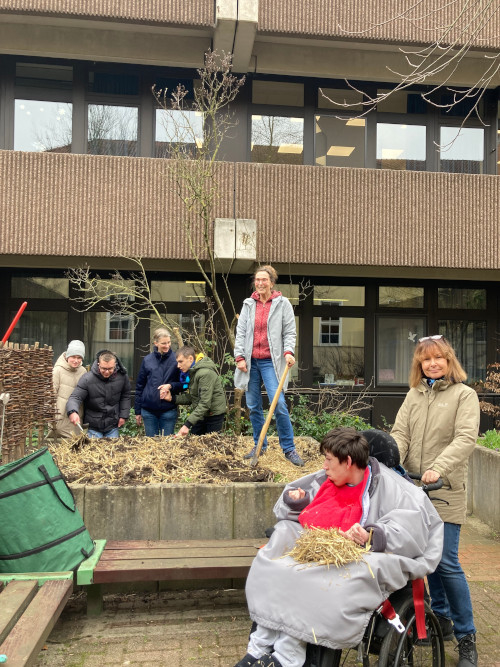 Unsere Klasse H2 düngt das Beet. Wir zerteilen Pferdeäpfel und arbeiten sie mit Handhacken in den Boden ein und graben Stroh unter, um die Erde zu lockern.