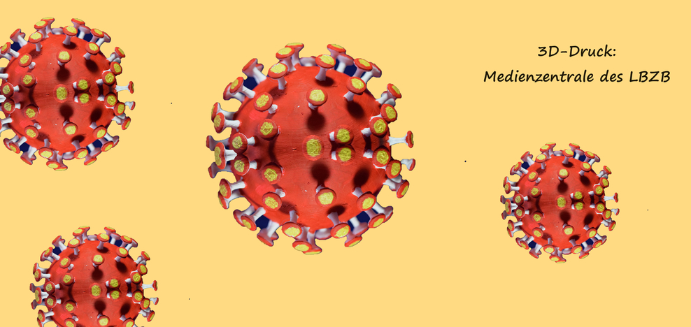 Informationen zum Corona-Virus