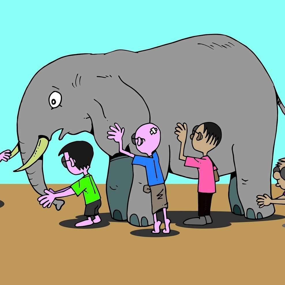 Eine Gruppe Kinder tasten einen Elefanten ab. Sie ertasten dabei den Rüssel, die Stoßzähne, Haut und Schwanz.