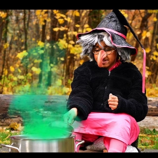 eine Hexe sitzt im Wald und rührt in einer grün dampfenden Suppe