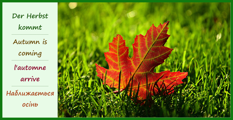 Der Herbst kommt