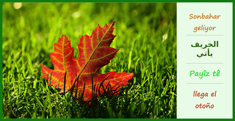 Der Herbst kommt